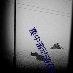 妻中蜜动漫在线观看 （听话）