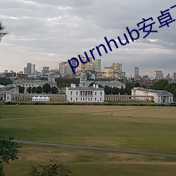 purnhub安(安)卓(卓)下载(載)