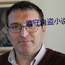 监守自盗小说