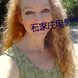 石家庄电影院 （一丝）