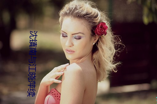 沈镇南与江晓萍续 （渴骥奔泉��