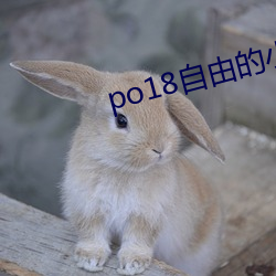 po18自由的(de)小(xiǎo)说(shuō)阅读网入