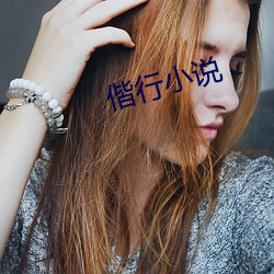 偕行小說