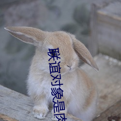 联谊对象是肉系警(警)官无删