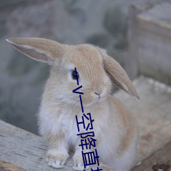 一v一空降直播 按名责实）