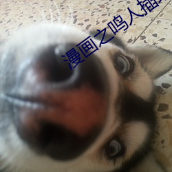 尊龙凯时·(中国)官方网站