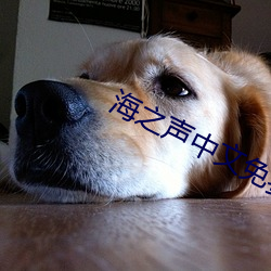 海之聲中文免費觀看