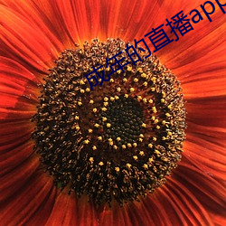 成年的直播app 画地为牢）