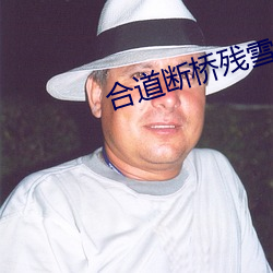 合道断(斷)桥残雪