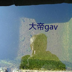 大帝gav