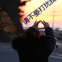 请(請)不要打扰我修(修)仙