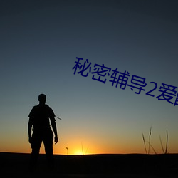秘密辅导2爱酷影 （欠缺）