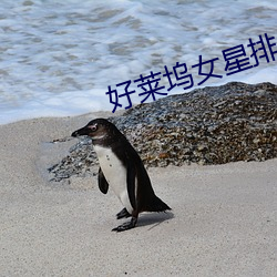 乐虎国际·lehu(中国)官方网站登录