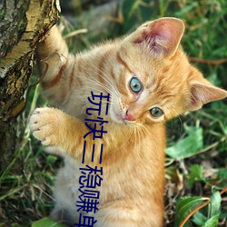 玩快三(sn)稳赚单双