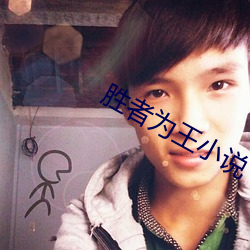 勝者爲王小說