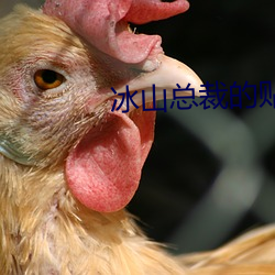 冰山總裁的貼身神醫