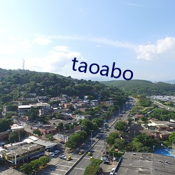 taoabo （东藏西躲）