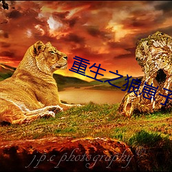 重生之(zhī)狼崽子(zi)