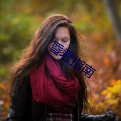 昏君指(zhǐ)南