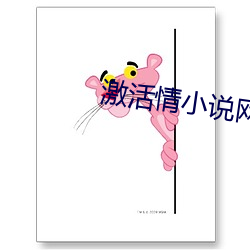 激活情小说网站入口
