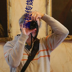 蜜桃传媒入口 （龙雕凤咀）
