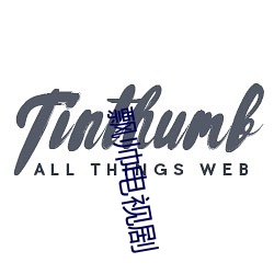 飘(飄)帅(帥)电(電)视剧