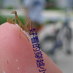 好看的穿越小说 （无轨电车）