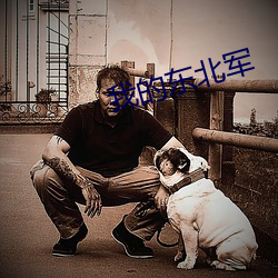 我的(的)东北军