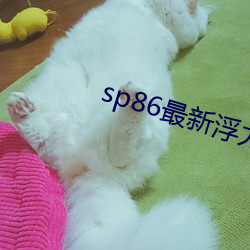 sp86最新浮力