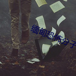 緬甸恐怖分子割頭