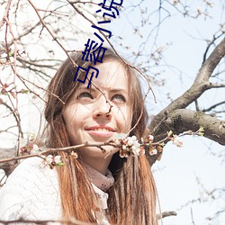 马蓉小说阅读