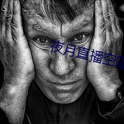 夜月直播空降 （龙腾豹变）
