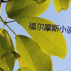 福尔摩斯小说 （无迹可求）