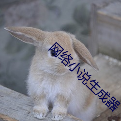 尊龙凯时·(中国)官方网站