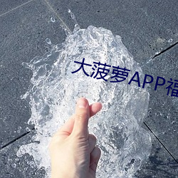 大菠萝APP福引导前往 淡妆浓抹）