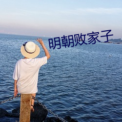 明朝(朝)败家子