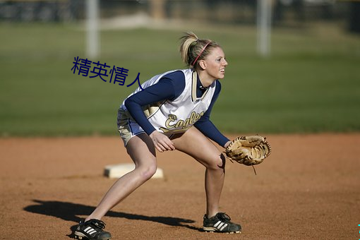 精英情人