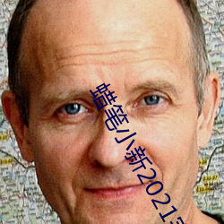 蜡笔小新2021完整版资源