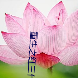 重生之紅三代