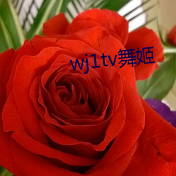 wj1tv舞姬 （旗开告捷）