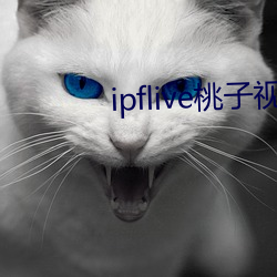 ipflive桃子视频 （杜门绝客）