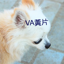 VA黃片