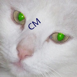 CM