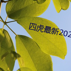 四虎最新2023入(rù)口地址