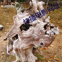 快(kui)播电(din)影网(wǎng)址