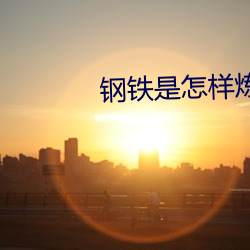 钢铁(鐵)是怎(怎)样炼成的电(電)视(視)剧(劇)