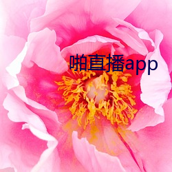 啪直播app （百忙）