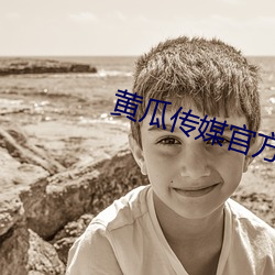 黄瓜(gu)传媒官(gun)方入(rù)口