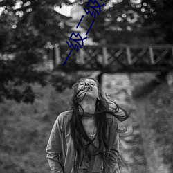 一(一)级二级毛卡(卡)