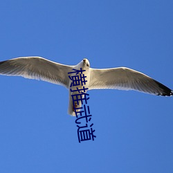 横推武道 （一清如水）